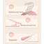 Traceless Clothes Hanger-2103771452
