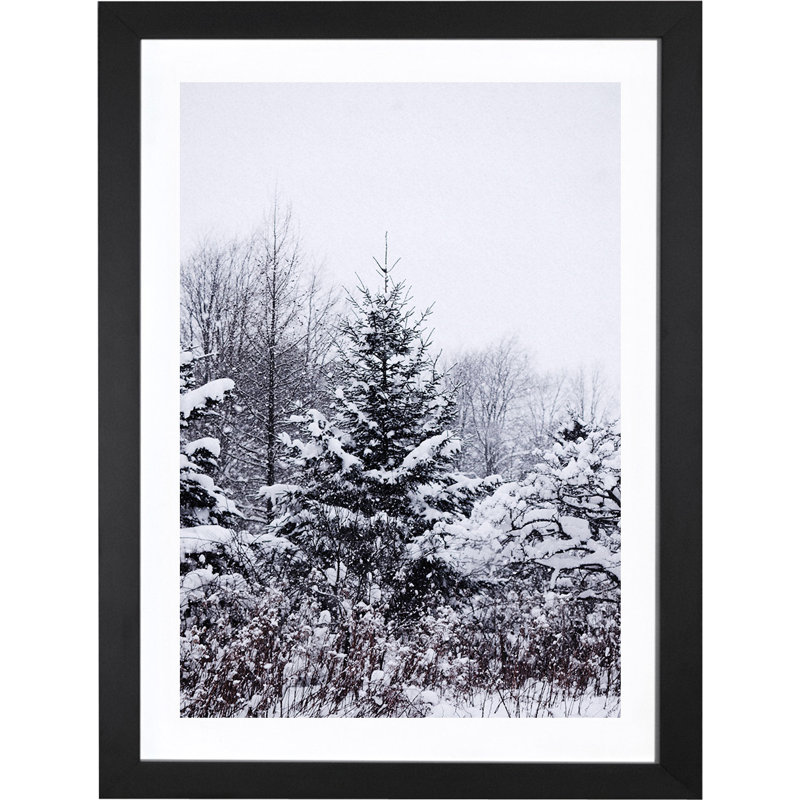 « winter pins », reproduction de photo, H 24 po x l 16 po x P 1 po, Papier encadré noir