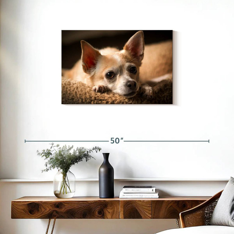Chihuahua au repos Brampt, H 20 po x l 30 po