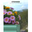 Lit de jardin surélevé galvanisé 6x3x2ft / 8x4x2ft-842506084-842506091