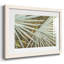 Suave Fronds - impression d'un seul cadre photo-1227837936-1227837937