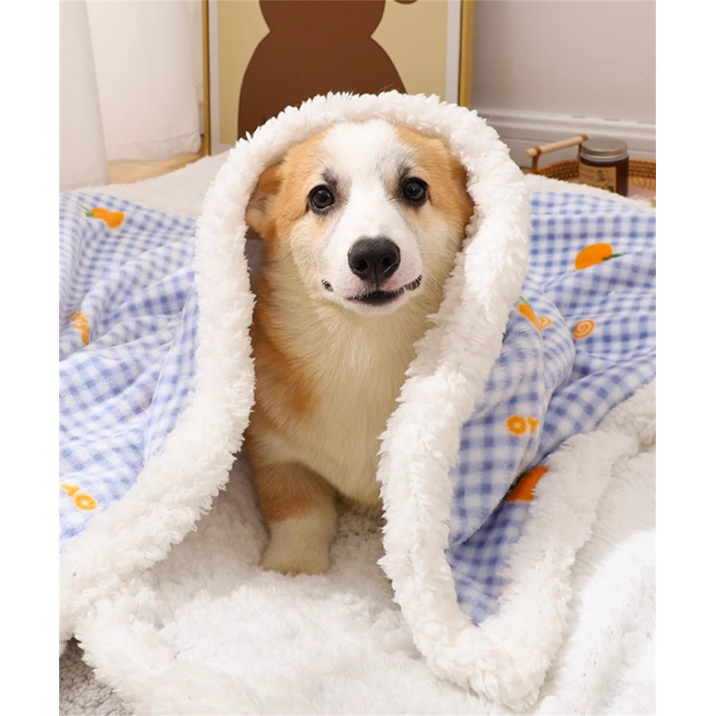 Petite courtepointe pour animal de compagnie