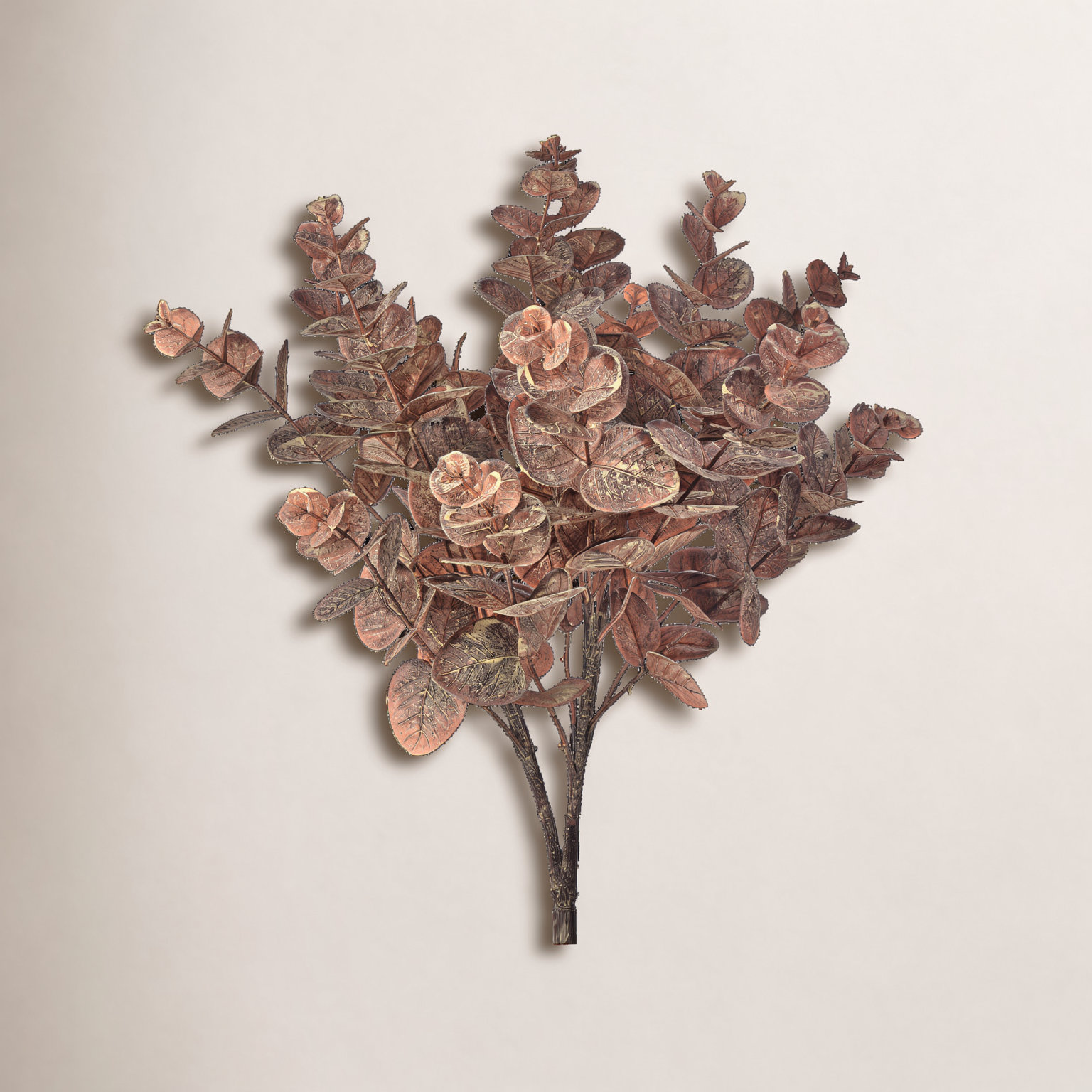 Autumn Eucalyptus Stems, Brown