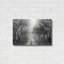 «Foggy Lane» par Lori Deiter-881485892