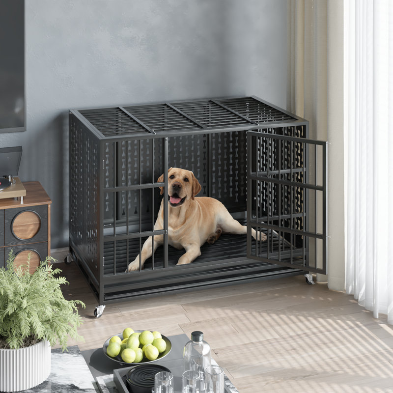 Cage pour chien indestructible, H 30,5 po x l 37,4 po x P 25,6 po