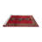 Oriental Indoor Rug-2111177079