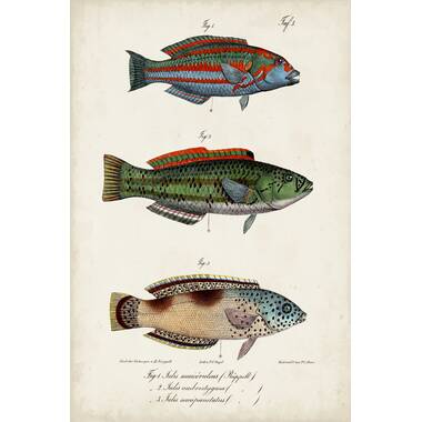 Big Game Fishing On Canvas 3 Pieces Set (Set of 3) Rosecliff Heights Overall Size: 48 H x 74 W x 1.25 D