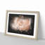 Light Pink Rose Paint Splash - Picture Frame Graphic Art-56865513-56865511