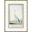 Bird Drawings, Circa 1777 Giclee Print