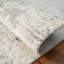 Dinovo Area Rug in Gray-1289107579