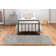 Attell Oriental Indoor Rug