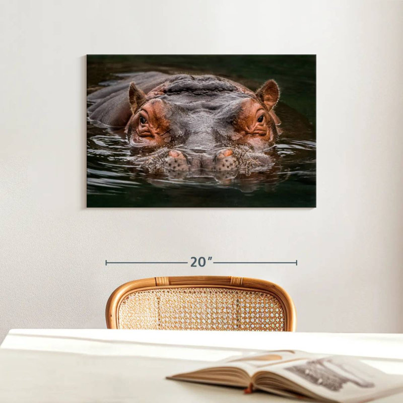 Brampt Submerged Hippo, 16" H x 24" W