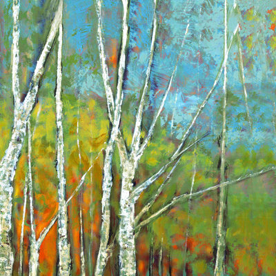 " Birch Six 3 "
