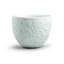 Lace Tea Cup