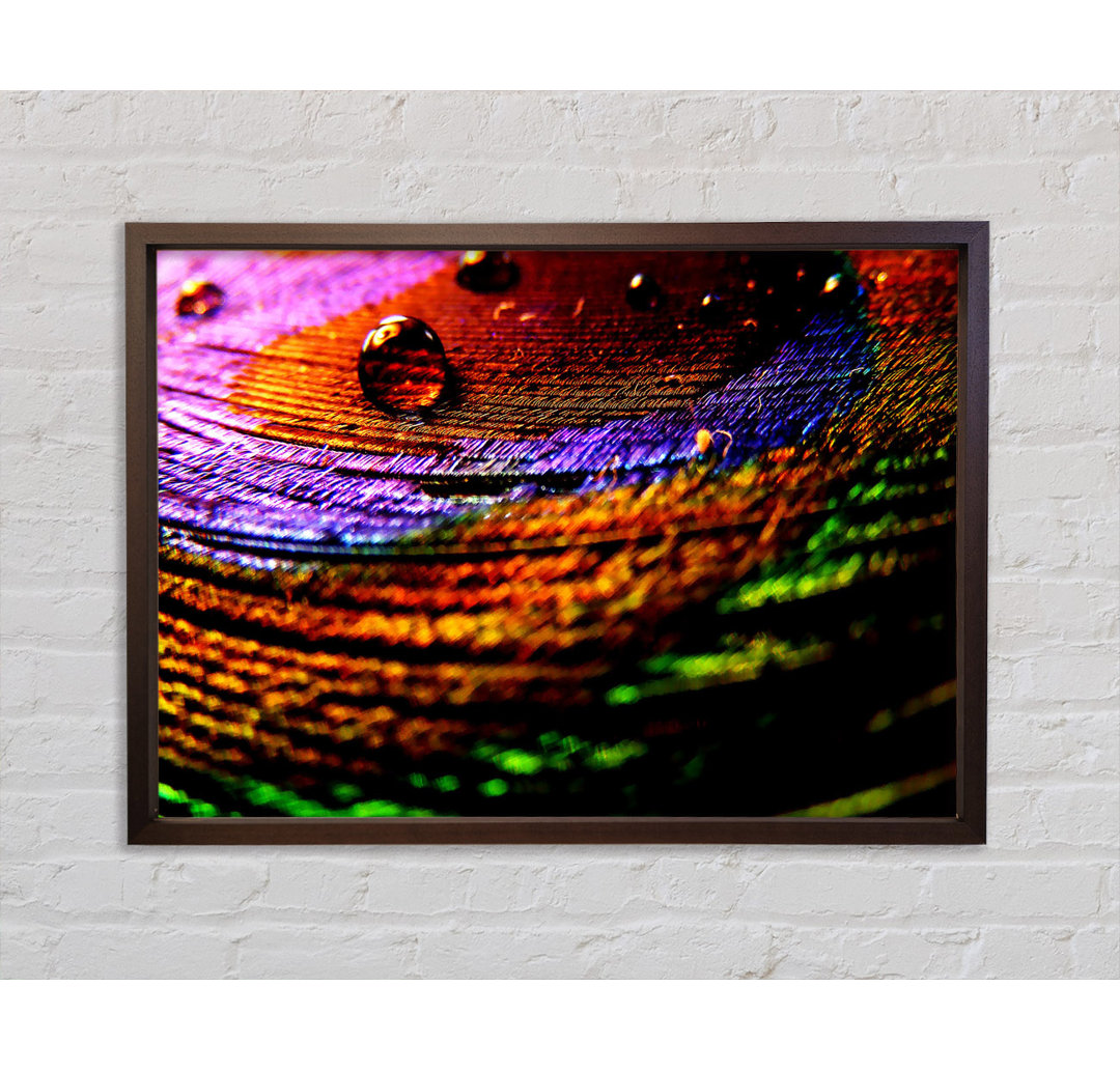 Colourful Bubble Ripples - Single Picture Frame Kunstdrucke auf Leinwand