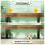 Banc pour plantes
