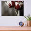 Epic Art «Red Tulips On Grey 01» par Tom Quartermai «Red Tulips On Grey 01» par Tom Quartermaine-101683469