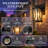 14'' Modern Black Outdoor Wall Lantern, Waterproof Crackle Glass Exterior Porch Sconce