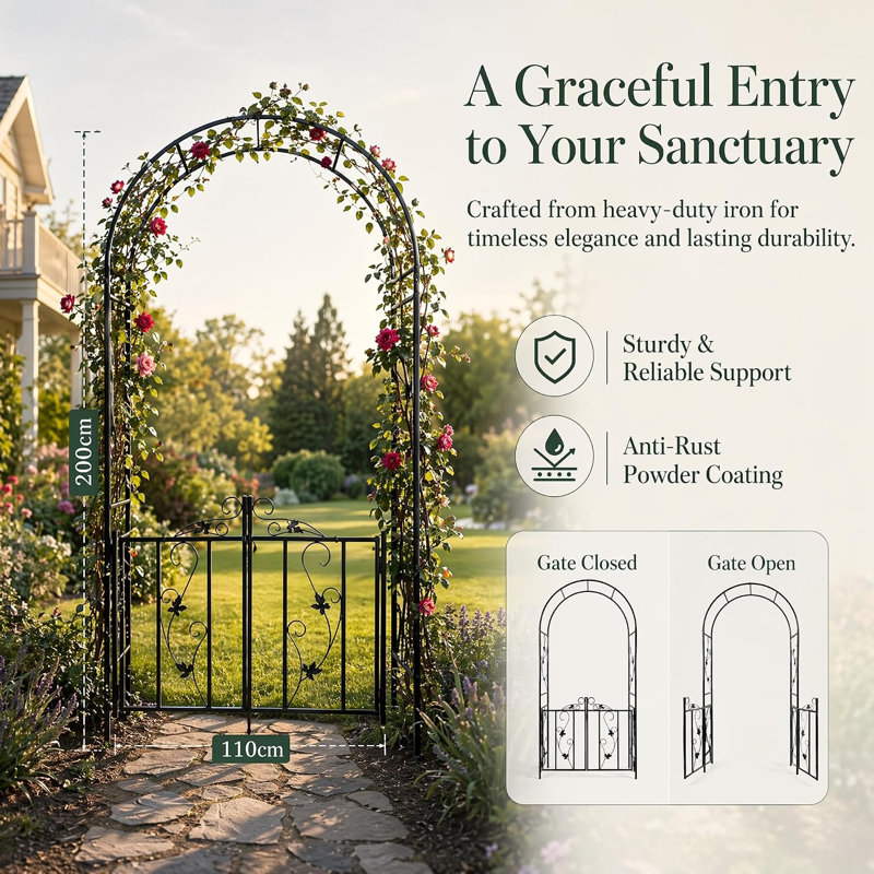 200cm H x 110cm W Iron Arched Trellis