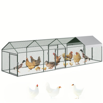 Walk In Chicken Run