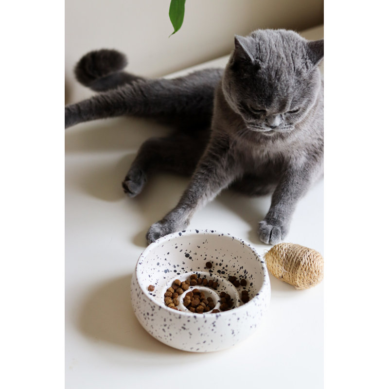 Bol pour nourriture pour animaux