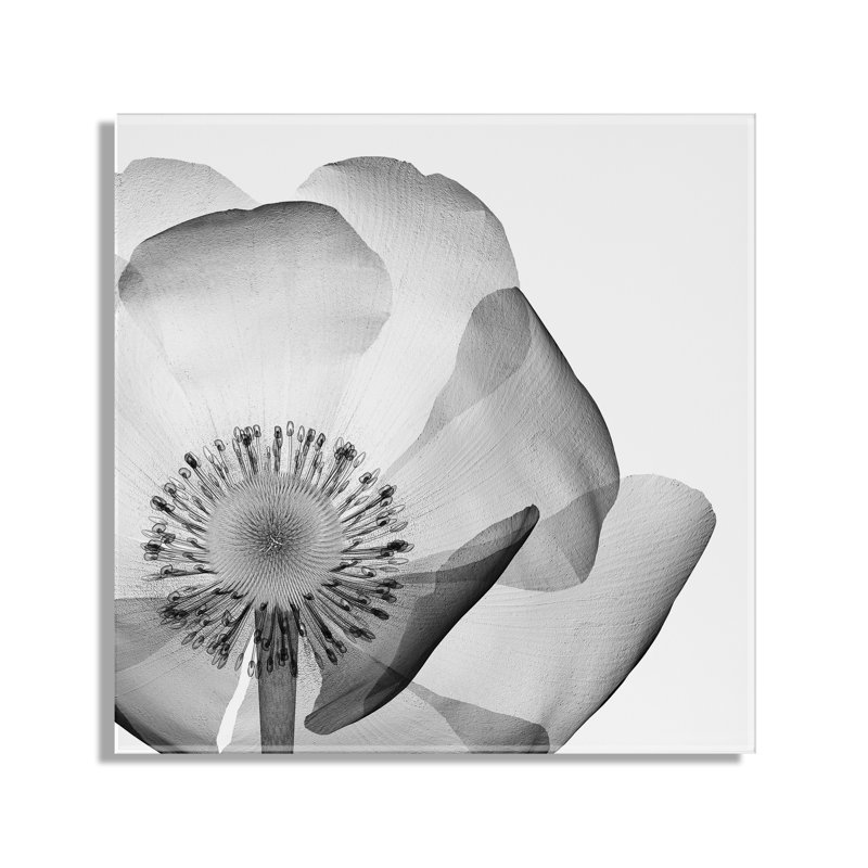 Black and White Poppy Floral Acrylic Wall Art, 27" x 27"