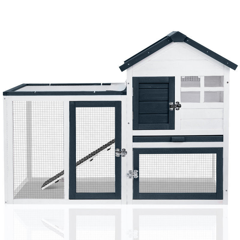 Cage à lapin en cage