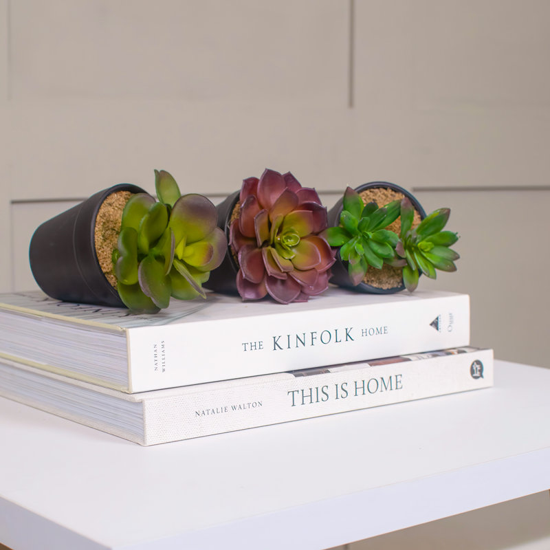 12cm Faux Succulent in Pot
