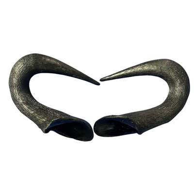 Real Blue Wildebeest Horn Set