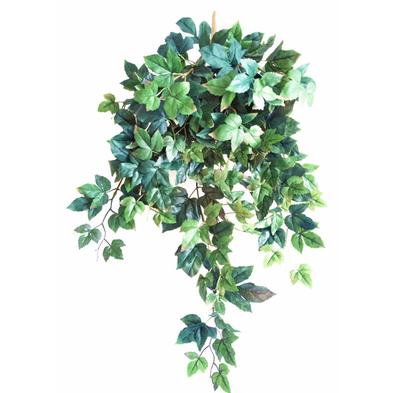 Buisson de luxe lierre érable suspendu X9