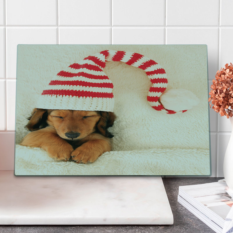 East Urban Home Glass Cutting Board