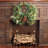 26" Mixed Pine Christmas Wreath