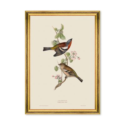 CHAFFINCH
