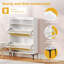 Allyssah 8 Pair Shoe Storage Cabinet