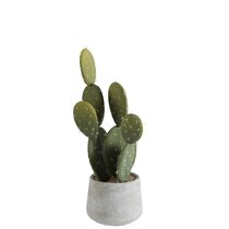 Kunstpflanzen (Kaktus) zum Verlieben