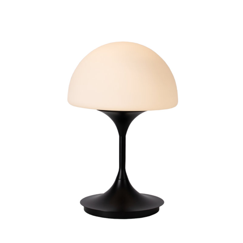 Lampe de table DEL Harikishan Pensee, Matt Black