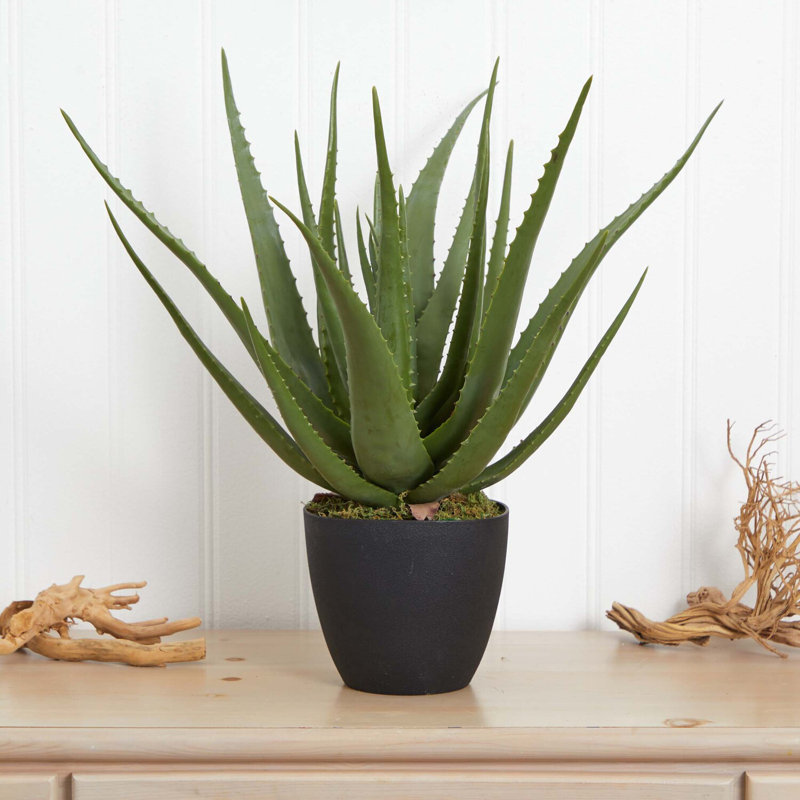 26'' Faux Agave Succulent in Planter