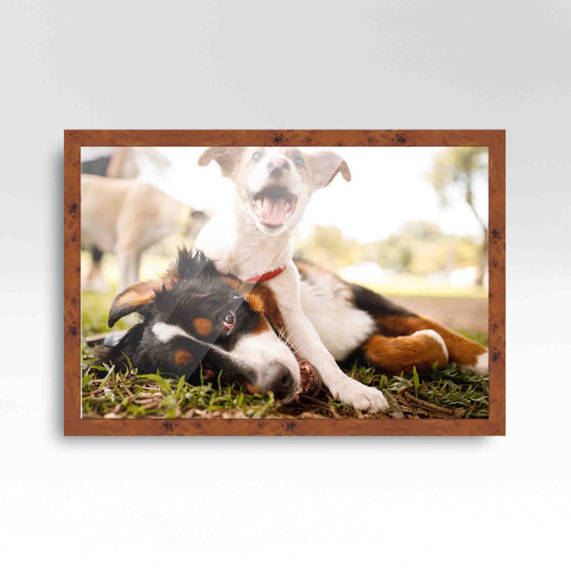Cadre photo en placage brun, 10 po x 18 po