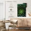 Plante grasse Harnek-108226315