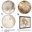 " Single Beige Flower V "-2001877584-2001877591