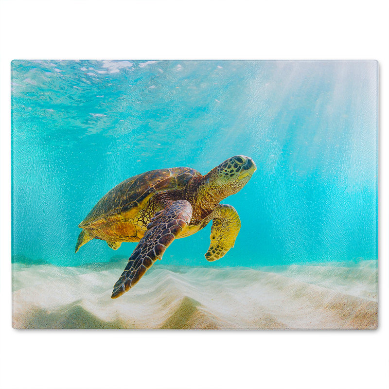 photo of Sea turtle in the Galapagos island Designer Glass Chopping Board