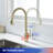 Rainlex Pull Down Kitchen Faucet-100933676