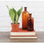 Snake Plant (Sansevieria) Plant in Nursery Pot-65834036