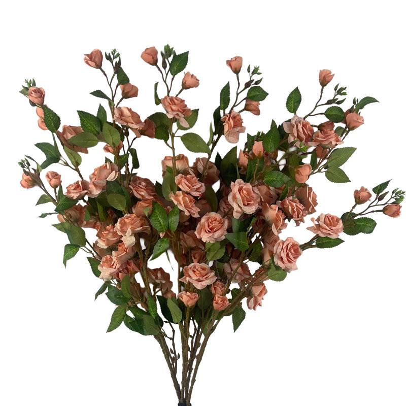 Antiqua Arrangement
