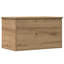 Camp Trunk / Footlocker-8069501