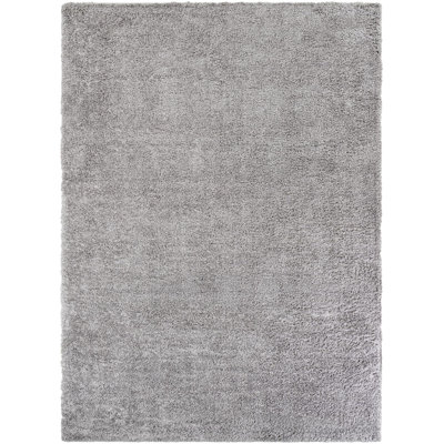 Frost Desandro Rug