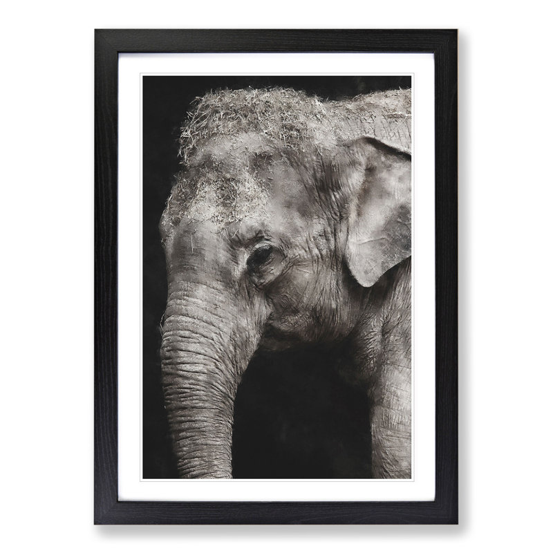 Elephant Vol.3 - Picture Frame Graphic Art, Black Framed, 36cm H x 27cm W x 2cm D
