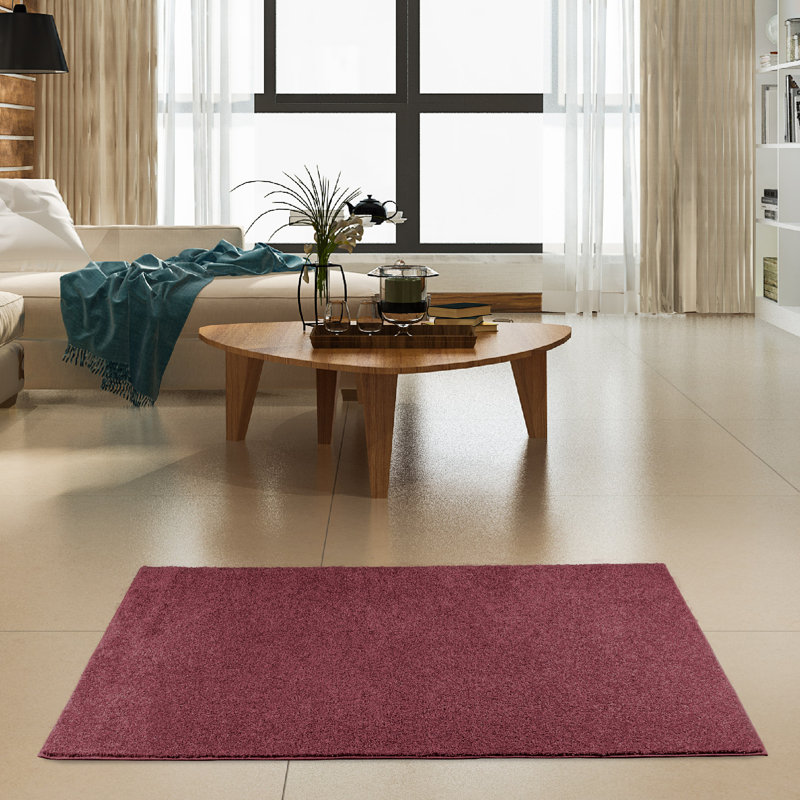 Modern Plush Pet and Kids Friendly Solid Color Area Rugs, Stain & Fade Resistance, Bedroom, Playroom and Kidsroom, Event, Wedding, Perfect for Living Room, Dining Room, Cranberry Rug