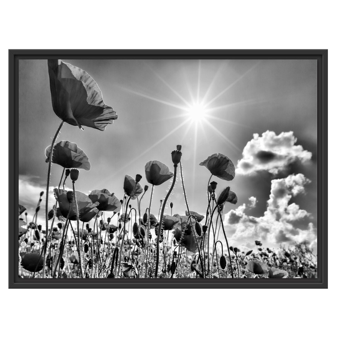 Gerahmter Fotodruck Poppies