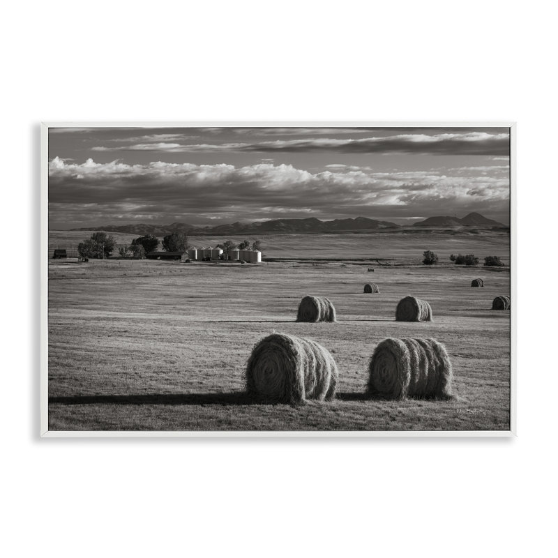 Giclées d'art Montana par Alan Majchrowicz, Montana, Giclée encadrée blanc bord de mer, H 20 po x l 30 po